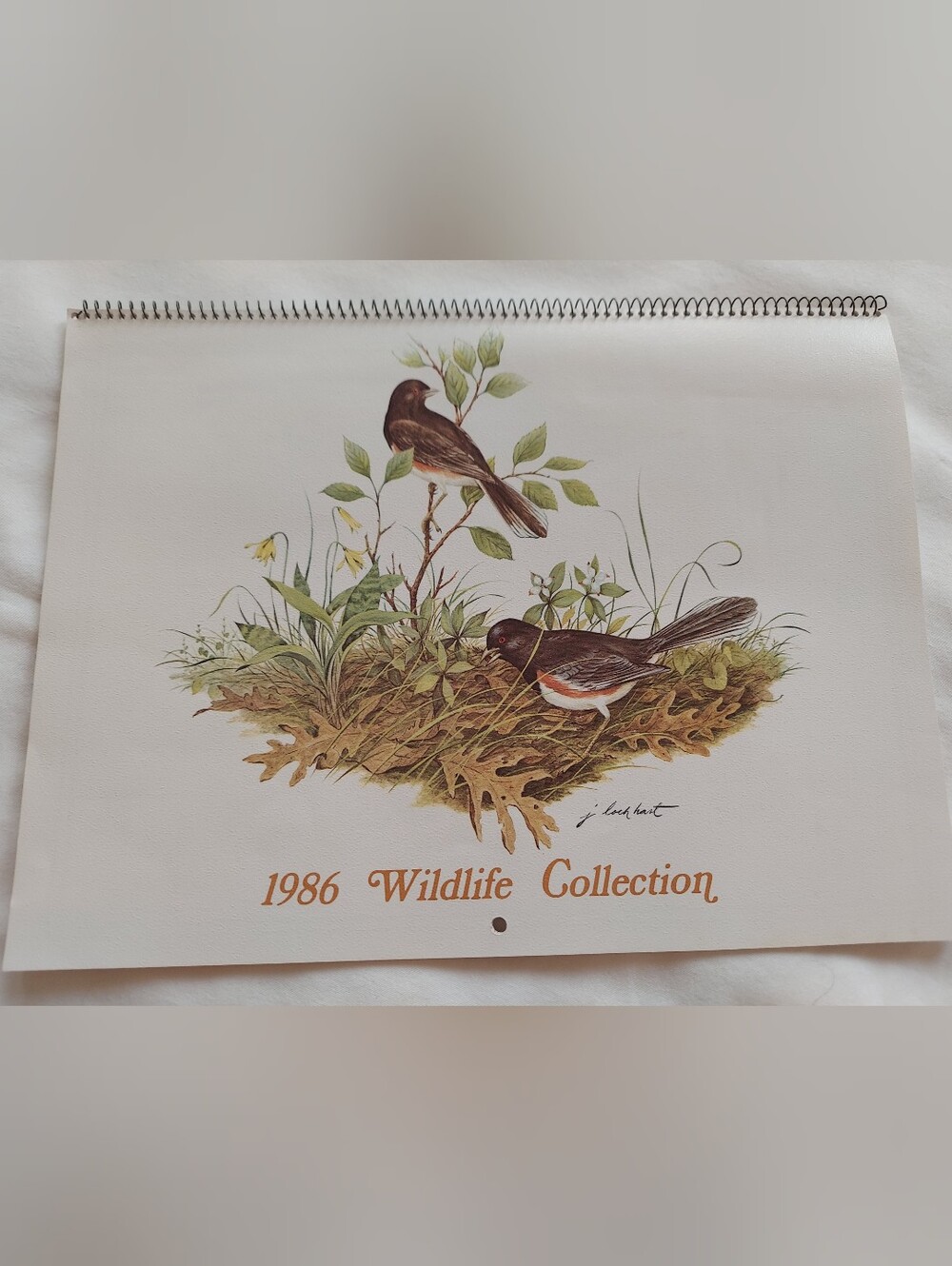 Vntg 1986 Wildlife Collection Callender, James Lockhart-Artist & Conservationist - Picture 2 of 16